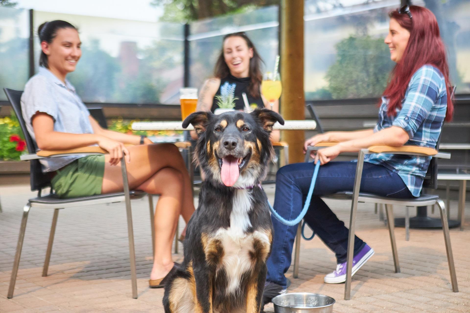 jasper inn & suites The INN Grill Outdoor Patio